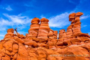 The-Watchman-Adeii-Eechii-Cliffs-Navajo-Indian-Reservation-Arizona-6-300x200 The Watchman