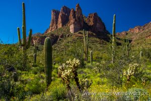 Three-Sisters-Carney-Springs-Trail-Superstition-Mountains-Arizona-2-300x200 Three Sisters