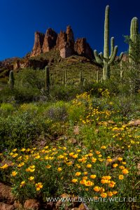 Three-Sisters-mit-Mexican-Poppies-Carney-Springs-Trail-Superstition-Mountains-Arizona-2-200x300 Three Sisters mit Mexican Poppies