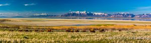 Bisonherde-Antelope-Island-State-Park-Utah-9-300x85 Bisonherde