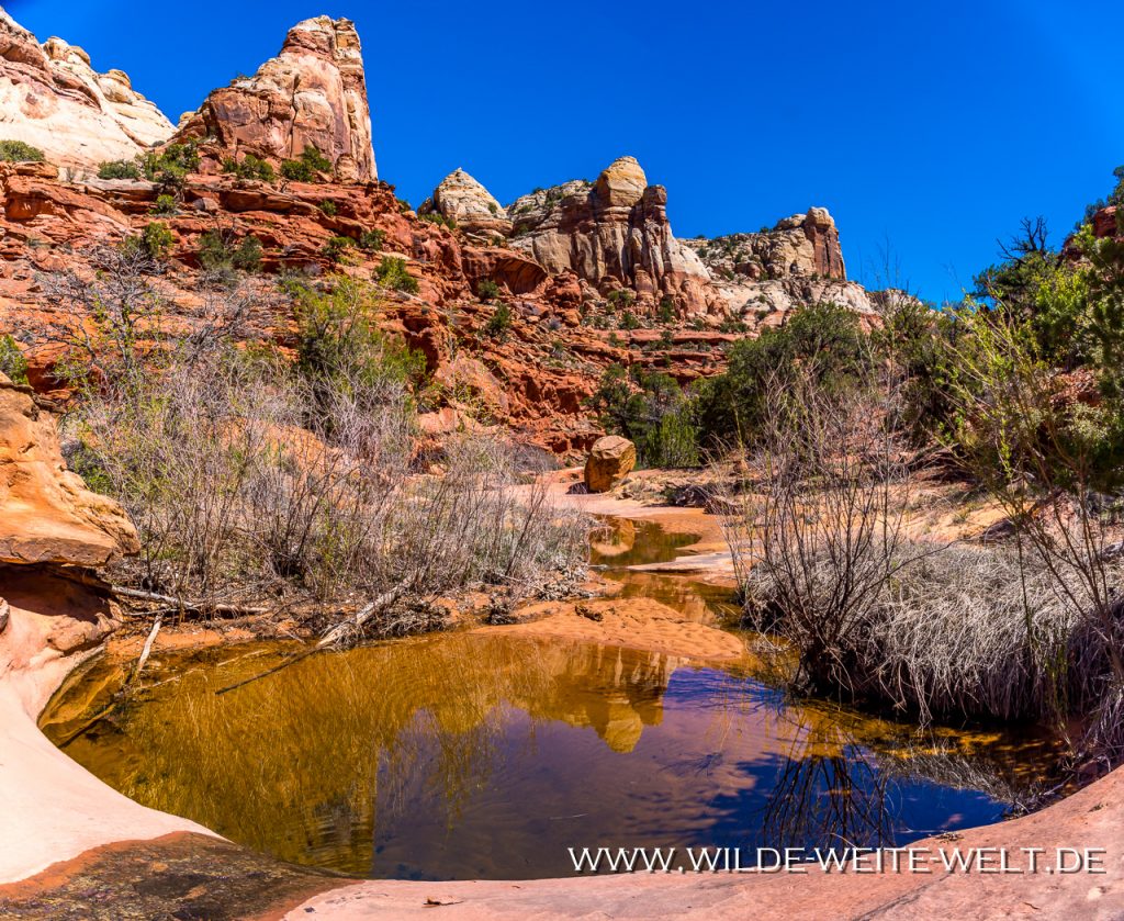 3 x Arches entlang des Escalante Rivers Escalante Natural Bridge