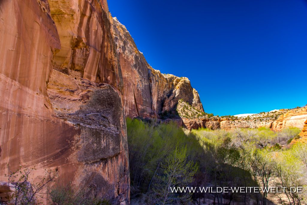 3 x Arches entlang des Escalante Rivers Escalante Natural Bridge