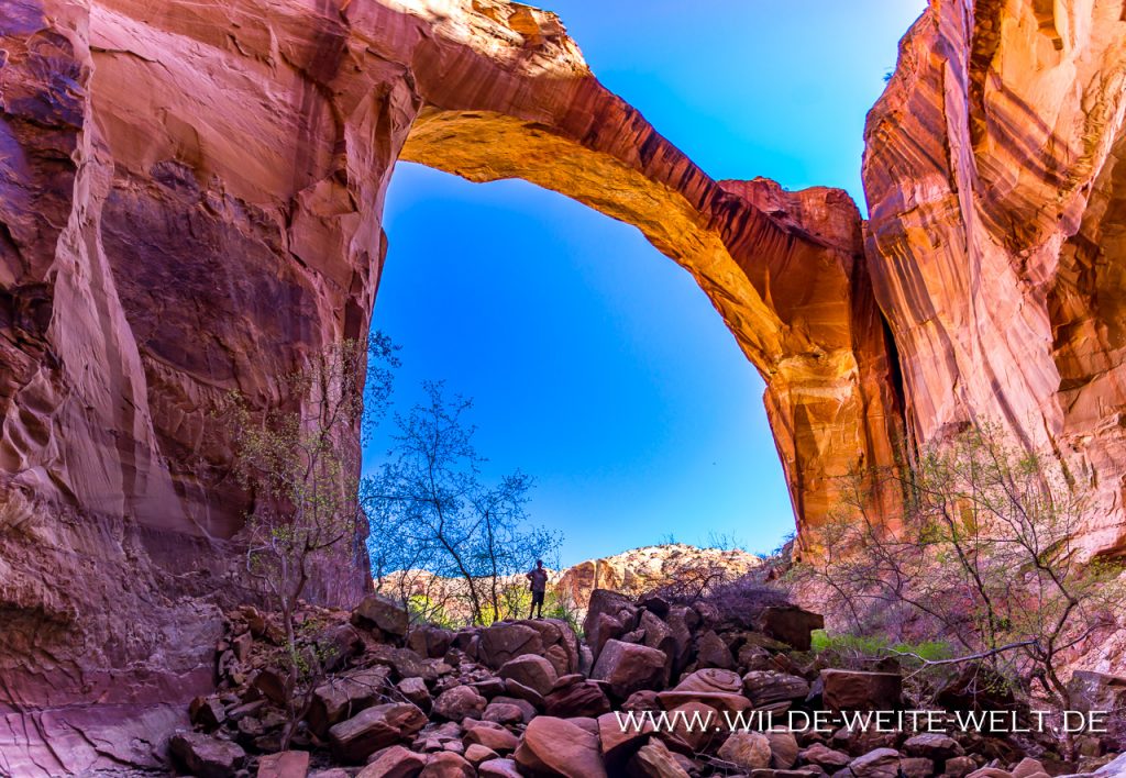 3 x Arches entlang des Escalante Rivers Escalante Natural Bridge