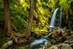 Karst-Creek-Falls-Strathcona-Provincial-Park-Vancouver-Island-British-Columbia-7-300x200 Karst Creek Falls