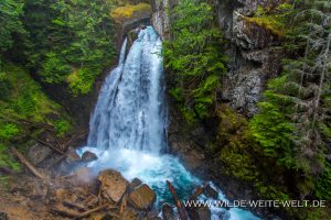 Lady-Falls-Strathcona-Provincial-Park-Vancouver-Island-British-Columbia-4-300x200 Lady Falls