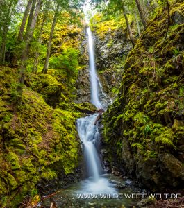 Lupin-Falls-Strathcona-Provincial-Park-Vancouver-Island-British-Columbia-3-265x300 Lupin Falls