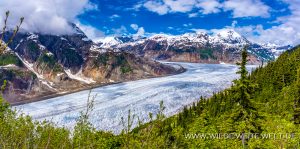 Salmon-Glacier-Stewart-British-Columbia-14-300x149 Salmon Glacier