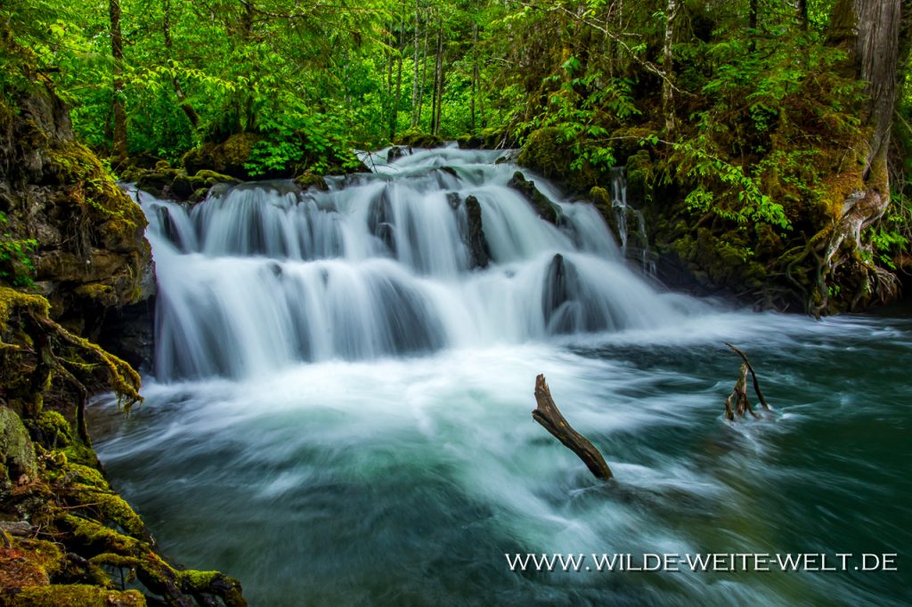 Beaupre & Vetter Falls im Nisga‘a Memorial Lava Bed Provincial Park