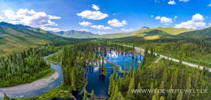 Beaver-Pond-Tombstone-Territorial-Park-Dempster-HIghway-Yukon-10-300x143 Beaver Pond