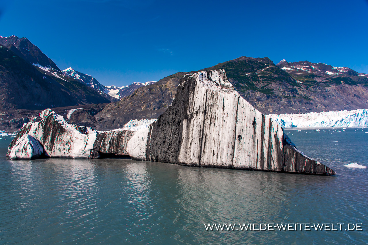 Columbia-Glacier-Iceberg-Prince-William-Sound-Valdez-Alaska-1 Columbia & Meares Glacier Boat Cruise [Prince William Sound]