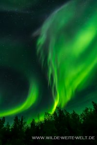 6-Aurora-Borealis-Tibbitt-Lake-Ingraham-Trail-Yellowknife-Northwest-Territories-75-200x300 Aurora Borealis