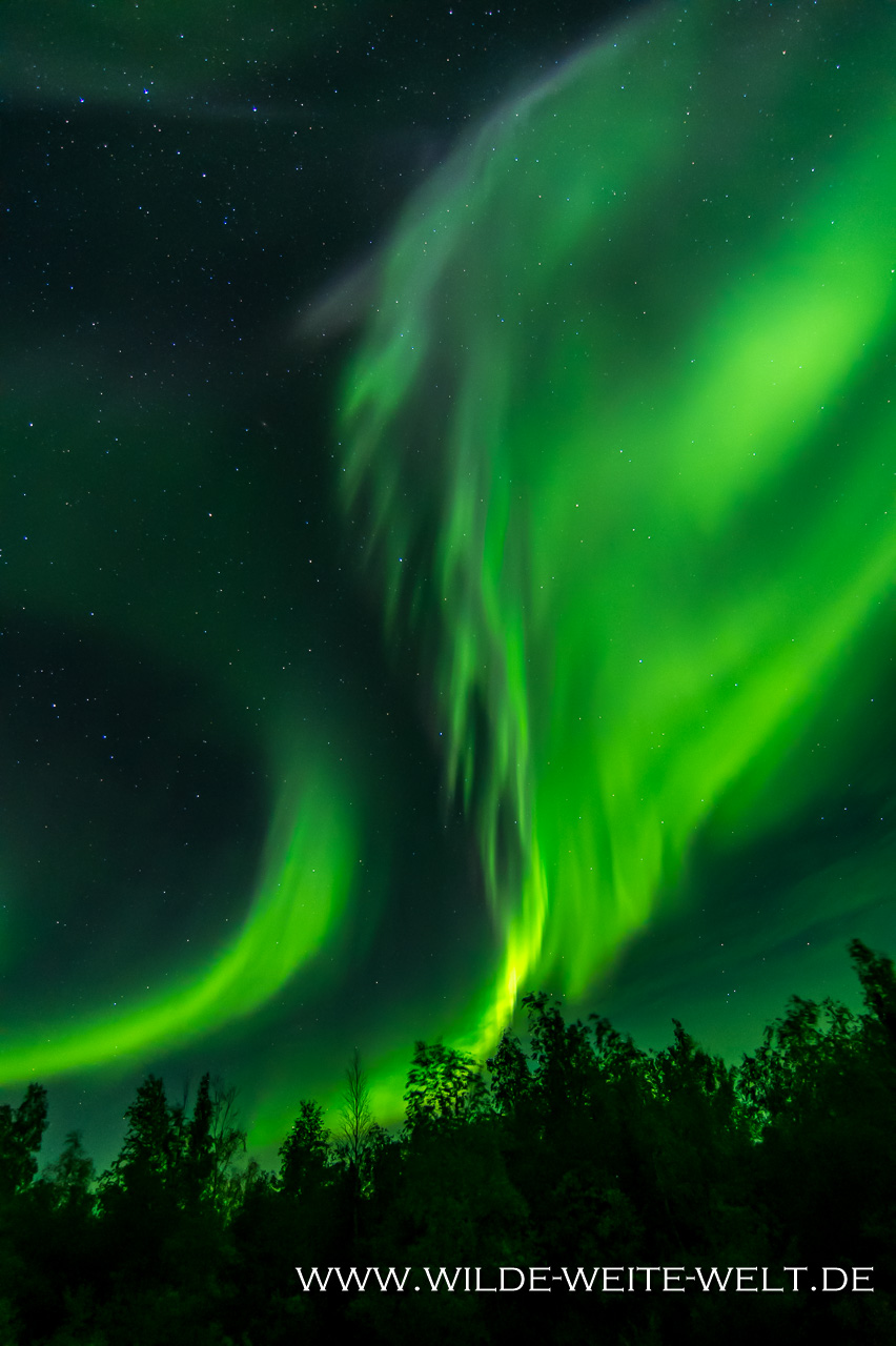 8-Aurora-Borealis-Ingraham-Trail-Yellowknife-Northwest-Territories-95 Northern Lights / Aurora Borealis / Nordlichter: Erfahrungsbericht & Foto-Tipps