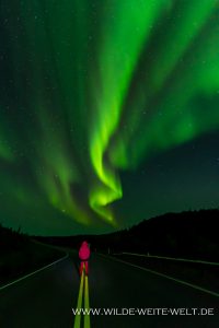 7-Aurora-Borealis-Cameron-River-Crossing-Ingraham-Trail-Yellowknife-Northwest-Territories-13-200x300 Aurora Borealis