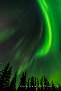 8-Aurora-Borealis-Ingraham-Trail-Yellowknife-Northwest-Territories-75-200x300 Aurora Borealis