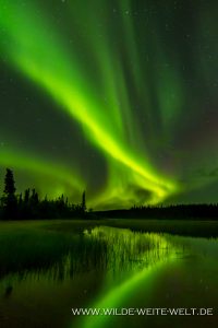 8-Aurora-Borealis-Powder-Point-Ingraham-Trail-Yellowknife-Northwest-Territories-51-200x300 Aurora Borealis