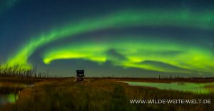 9-Aurora-Borealis-Caen-Lake-Yellowknife-Highway-Northwest-Territories-28-300x156 Aurora Borealis