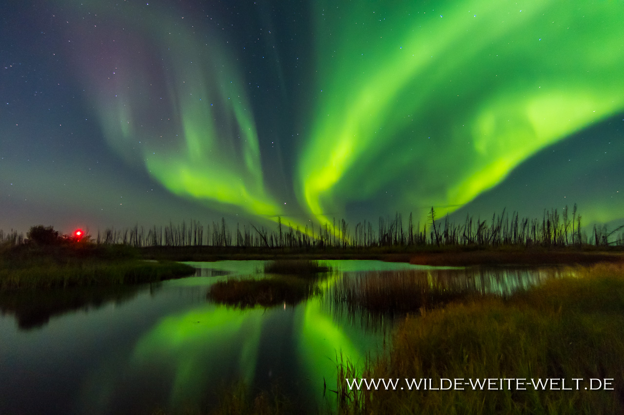9-Aurora-Borealis-Caen-Lake-Yellowknife-Highway-Northwest-Territories-57 Aurora Borealis / Nordlichter / Northern Lights Teil # 3 - Im Licht des Vollmonds [Yellowknife Highway]