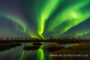 9-Aurora-Borealis-Caen-Lake-Yellowknife-Highway-Northwest-Territories-66-300x200 Aurora Borealis