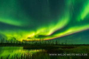 9-Aurora-Borealis-Caen-Lake-Yellowknife-Highway-Northwest-Territories-89-300x200 Aurora Borealis