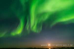 9-Aurora-Borealis-with-full-moon-Caen-Lake-Yellowknife-Highway-Northwest-Territories-300x200 Aurora Borealis with full moon