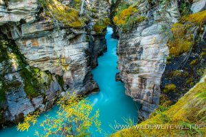 Athabasca-Canyon-Icefields-Parkway-Jasper-National-Park-Alberta-300x200 Athabasca Canyon