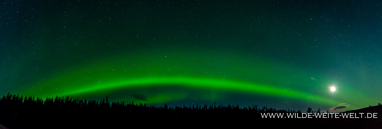 Aurora-Borealis-Alaska-Highway-British-Columbia-39 Aurora Borealis / Nordlichter / Northern Lights Teil # 1 - Der Einstieg