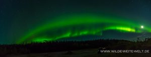 Aurora-Borealis-Alaska-Highway-British-Columbia-31-300x113 Aurora Borealis