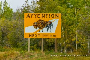 Bison-Sign-Mackenzie-Bison-Sanctuary-Yellowknife-Highway-Northwest-Territories-300x200 Bison Sign