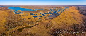 Fall-Color-and-Lakes-Birch-Creek-Yellowknife-Highway-Northwest-Territories-6-300x125 Fall Color and Lakes
