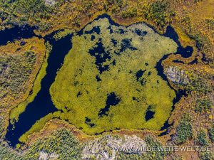Fall-Color-and-Lakes-Yellowknife-Highway-Northwest-Territories-33-300x225 Fall Color and Lakes
