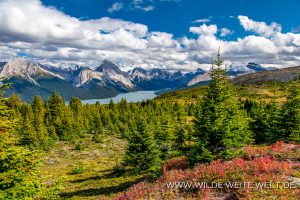 Maligne-Lake-Bald-Hills-Trail-Jasper-National-Park-Alberta-3-300x200 Maligne Lake
