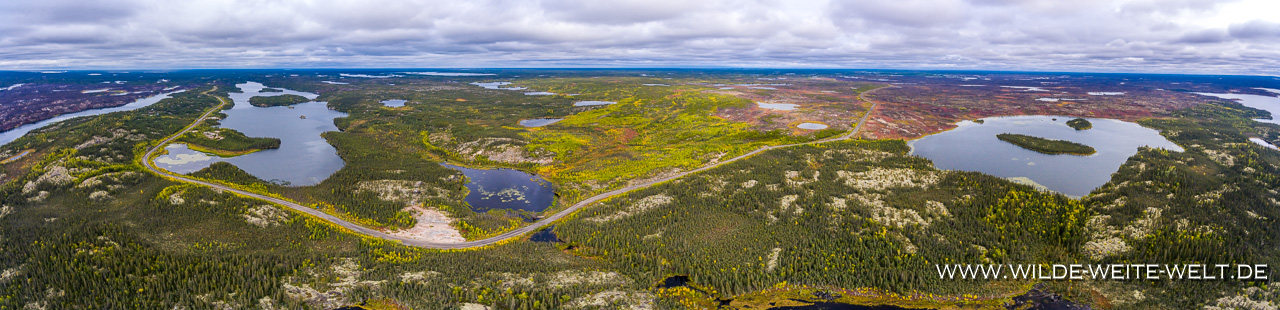 Tundra-in-Fall-Color-Flower-Springs-Lake-Trail-Stone-Mountain-Provincial-Park-Alaska-Highway-British-Columbia-78 Fall Color / Herbstfärbung in den Northwest Territories