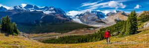 Athabasca-Glacier-and-Dome-Glacier-Wilcox-Ridge-Trail-Jasper-National-Park-Alberta-6-300x98 Athabasca Glacier and Dome Glacier