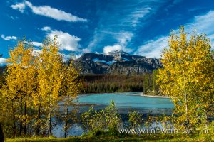 Athabasca-River-and-Fall-Color-Icefields-Parkway-Jasper-National-Park-Alberta-5-300x200 Athabasca River and Fall Color