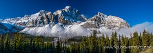 Crowfoot-Mountain-Icefields-Parkway.-Banff-National-Park-Alberta-2-300x104 Crowfoot Mountain