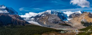 Dome-Glacier-and-Athabasca-Glacier-Wilcox-Ridge-Trail-Jasper-National-Park-Alberta-2-300x115 Dome Glacier and Athabasca Glacier