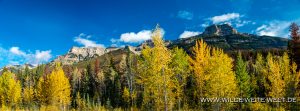 Fall-Color-Icefields-Parkway-Jasper-National-Park-Alberta-3-1-300x111 Fall Color