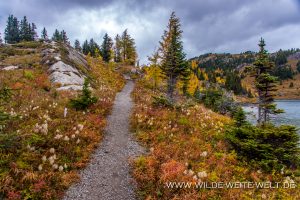 Fall-Color-Sunshine-Meadows-Banff-National-Park-Alberta-27-300x200 Fall Color