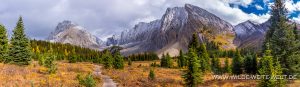 Fall-Color-and-Mt.-Chester-Smith-Doreen-Spray-Road-Peter-Lougheed-Provincial-Park-Kananaskis-Country-Alberta-3-300x87 Fall Color and Mt. Chester