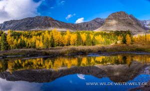 Fall-Color-at-Arethusa-Cirque-Kananaskis-Highway-Peter-Lougheed-Provincial-Park-Kananaskis-Country-Alberta-10-300x183 Fall Color at Arethusa Cirque