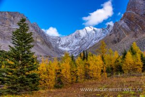 Fall-Color-at-Arethusa-Cirque-Kananaskis-Highway-Peter-Lougheed-Provincial-Park-Kananaskis-Country-Alberta-18-300x200 Fall Color at Arethusa Cirque