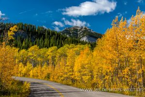 Fall-Color-at-Barrier-Lake-Kananaskis-Highway-Kananaskis-Country-Alberta-29-300x200 Fall Color at Barrier Lake