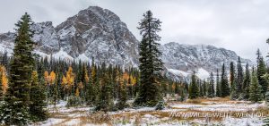 Fall-Color-at-Taylor-Lake-Banff.-Banff-National-Park-Alberta-2-300x141 Fall Color at Taylor Lake