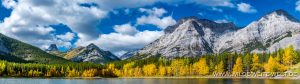 Fall-Color-at-Wedge-Pond-Kananaskis-Highway-Kananaskis-Country-Alberta-7-300x84 Fall Color at Wedge Pond