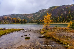 Grizzly-Lake-Sunshine-Meadows-Banff-National-Park-Alberta-300x200 Grizzly Lake