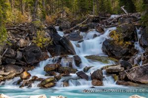 Kicking-Horse-Falls-Yoho-Valley-Yoho-National-Park-British-Columbia-4-300x200 Kicking Horse Falls