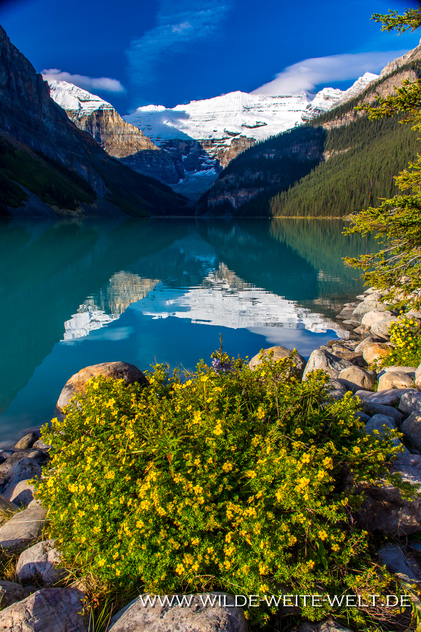 Lake-Louise-Sunrise-Lake-Louise-Banff-National-Park-Alberta-15 Lake Louise & Lake Moraine [Banff National Park]