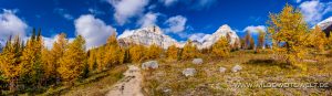 Larch-Fall-Color-and-the-ten-peaks-Larch-Valley-Lake-Louise-Banff-National-Park-Alberta-29-300x87 Larch Fall Color and the ten peaks