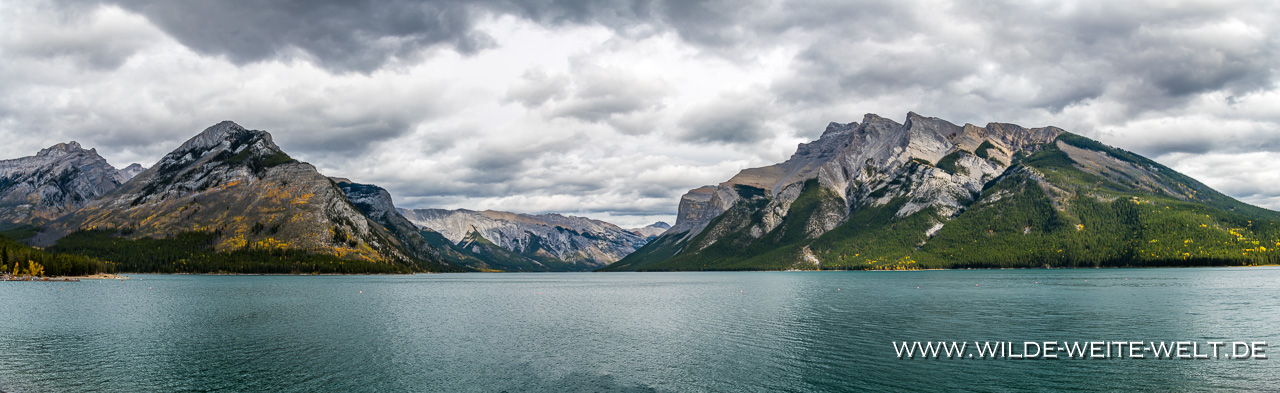 Peyto-Lake-Icefields-Parkway-Banff-National-Park-Alberta-8 Seen / Lakes am Icefield Parkway & Kananaskis Country: Peyto Lake & Waterfowl Lakes & Bow Lake & Chephren Lake & Kananaskis Lakes & Diverse