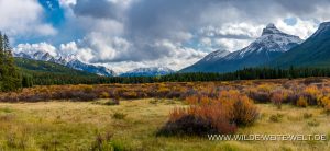 Moose-Meadows-Banff-National-Park-Alberta-4-300x138 Moose Meadows